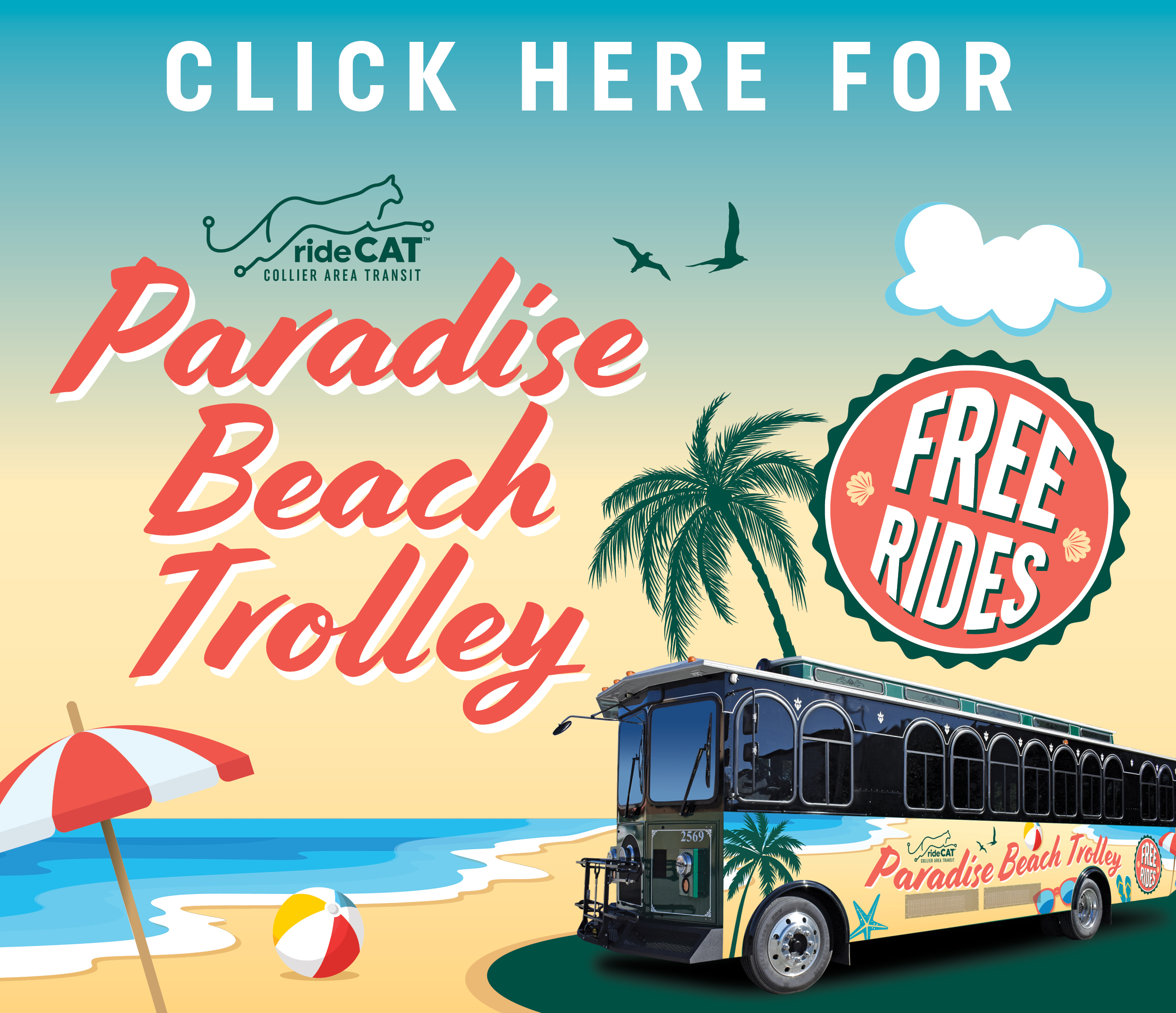 CAT’s Beach Bus is Back!